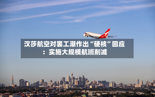 汉莎航空对罢工潮作出“硬核”回应：实施大规模航班削减-第3张图片