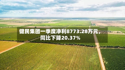 健民集团一季度净利8773.28万元	，同比下降20.37%-第3张图片