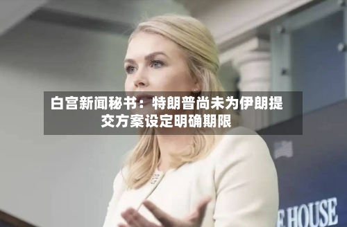 白宫新闻秘书:特朗普尚未为伊朗提交方案设定明确期限-第2张图片