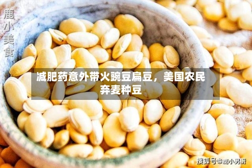 减肥药意外带火豌豆扁豆，美国农民弃麦种豆-第2张图片