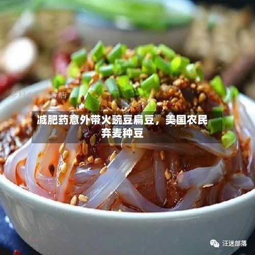 减肥药意外带火豌豆扁豆，美国农民弃麦种豆-第3张图片