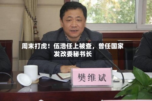 周末打虎！伍浩任上被查，曾任国家发改委秘书长-第3张图片