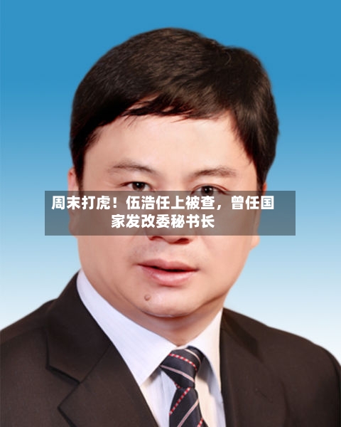 周末打虎！伍浩任上被查，曾任国家发改委秘书长-第2张图片