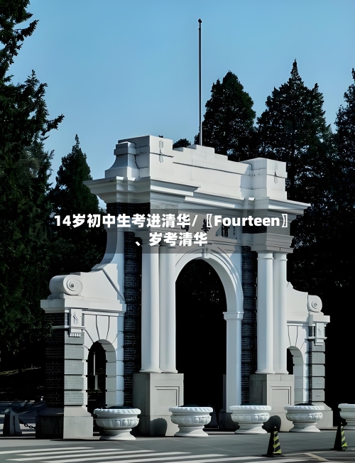 14岁初中生考进清华/〖Fourteen〗、岁考清华-第3张图片
