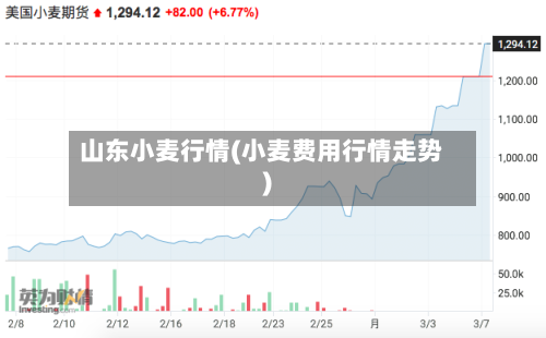 山东小麦行情(小麦费用行情走势)