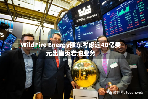 WildFire Energy股东考虑逾40亿美元出售页岩油业务