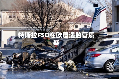 特斯拉FSD在欧遭遇监管质疑-第3张图片
