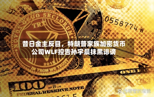 昔日金主反目，特朗普家族加密货币公司WLF控告孙宇晨抹黑诽谤-第2张图片