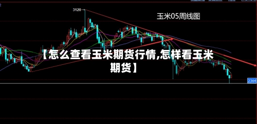 【怎么查看玉米期货行情,怎样看玉米期货】-第2张图片