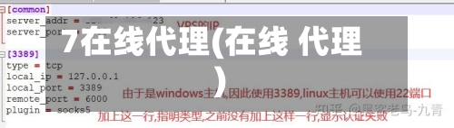7在线代理(在线 代理)-第2张图片