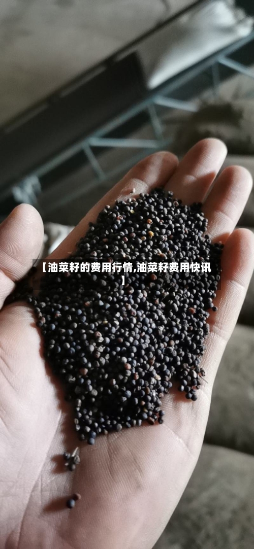 【油菜籽的费用行情,油菜籽费用快讯】-第2张图片