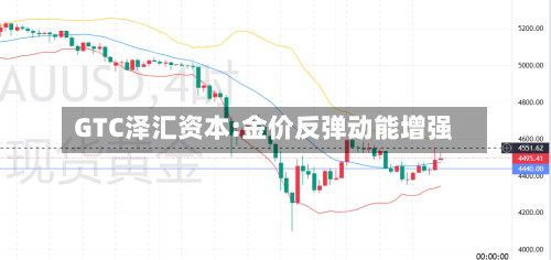 GTC泽汇资本:金价反弹动能增强