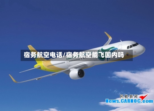 宿务航空电话/宿务航空能飞国内吗