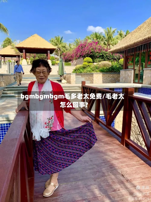 bgmbgmbgm毛多老太免费/毛老太怎么回事?