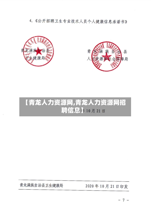 【青龙人力资源网,青龙人力资源网招聘信息】-第2张图片