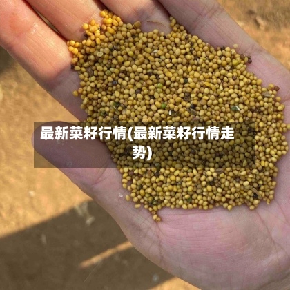最新菜籽行情(最新菜籽行情走势)
