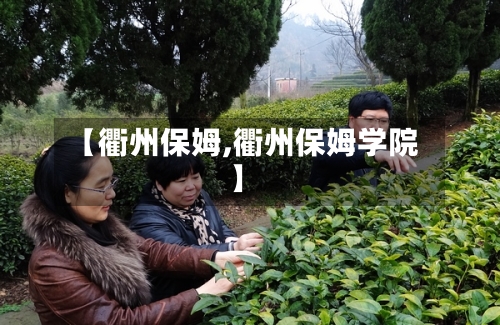 【衢州保姆,衢州保姆学院】