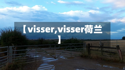 【visser,visser荷兰】-第3张图片