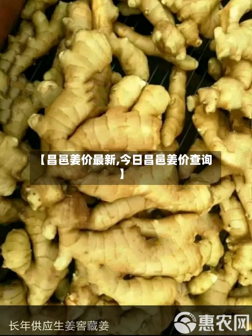 【昌邑姜价最新,今日昌邑姜价查询】