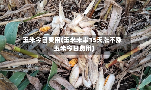 玉米今日费用(玉米未来15天涨不涨玉米今日费用)