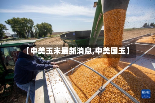 【中美玉米最新消息,中美国玉】-第2张图片