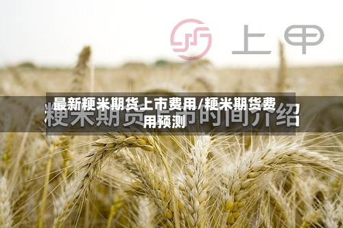 最新粳米期货上市费用/粳米期货费用预测-第2张图片