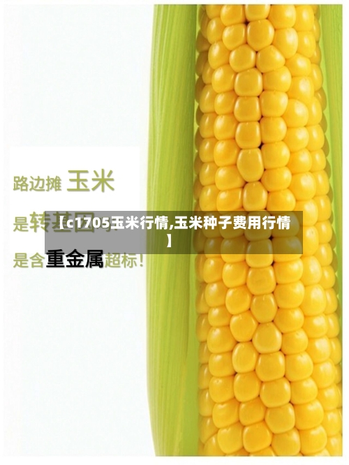 【c1705玉米行情,玉米种子费用行情】-第2张图片