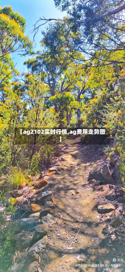 【ag2102实时行情,ag费用走势图】