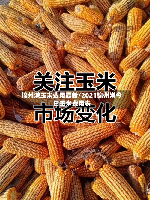 锦州港玉米费用最新/2021锦州港今日玉米费用表