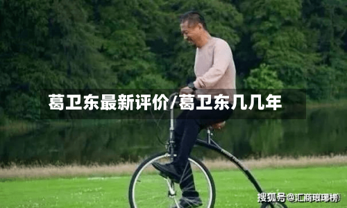 葛卫东最新评价/葛卫东几几年