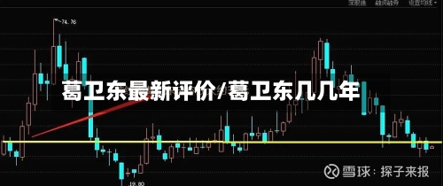 葛卫东最新评价/葛卫东几几年-第2张图片