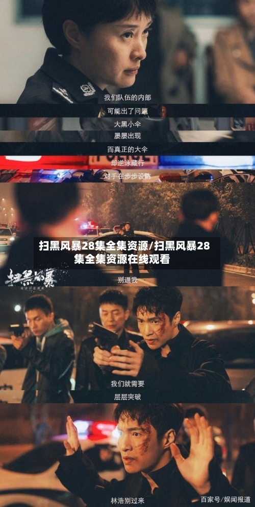 扫黑风暴28集全集资源/扫黑风暴28集全集资源在线观看