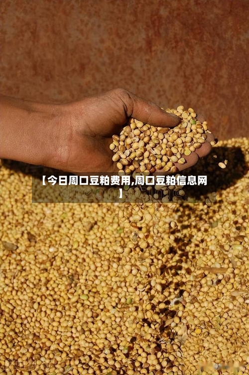 【今日周口豆粕费用,周口豆粕信息网】-第3张图片