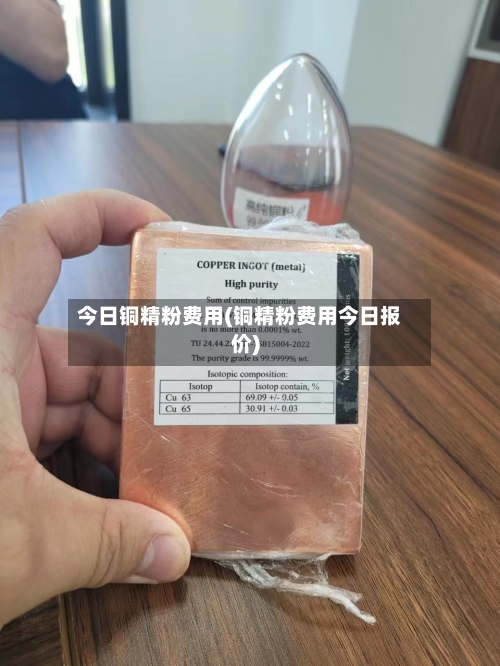 今日铜精粉费用(铜精粉费用今日报价)-第2张图片