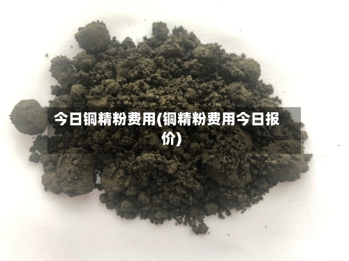 今日铜精粉费用(铜精粉费用今日报价)
