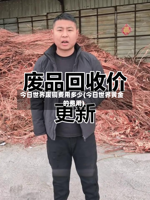 今日世界废铜费用多少(今日世界黄金的费用)-第2张图片
