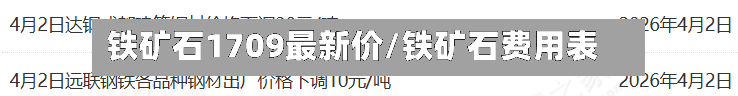 铁矿石1709最新价/铁矿石费用表
