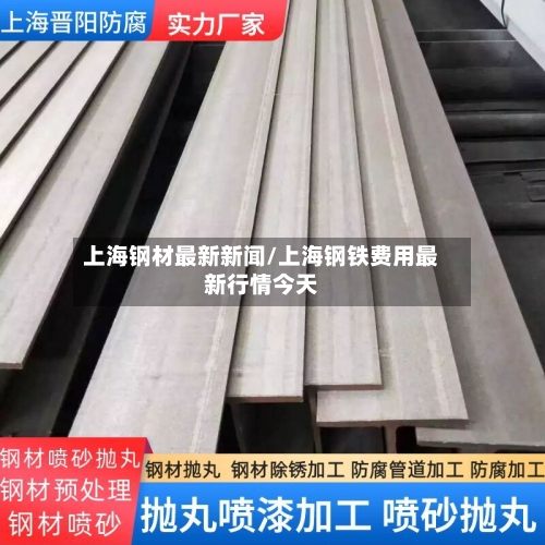 上海钢材最新新闻/上海钢铁费用最新行情今天