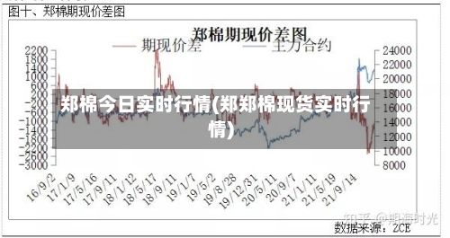 郑棉今日实时行情(郑郑棉现货实时行情)