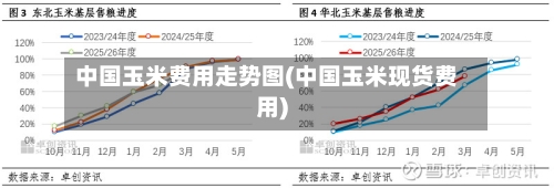 中国玉米费用走势图(中国玉米现货费用)-第3张图片