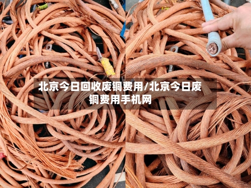 北京今日回收废铜费用/北京今日废铜费用手机网