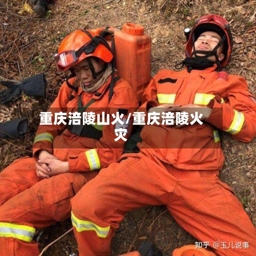 重庆涪陵山火/重庆涪陵火灾