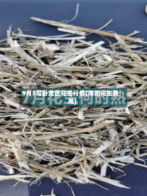 9月5号卧龙区花生行情(南阳花生费用)
