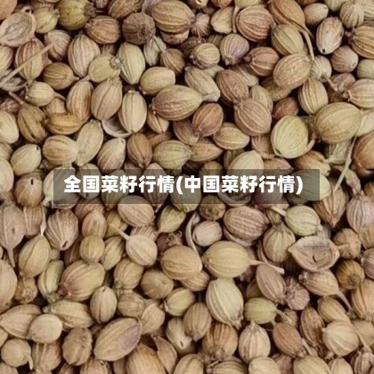 全国菜籽行情(中国菜籽行情)