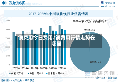 镁费用今日费用/镁费用行情走势在哪里