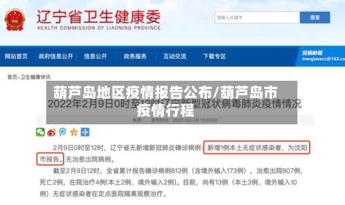 葫芦岛地区疫情报告公布/葫芦岛市疫情行程