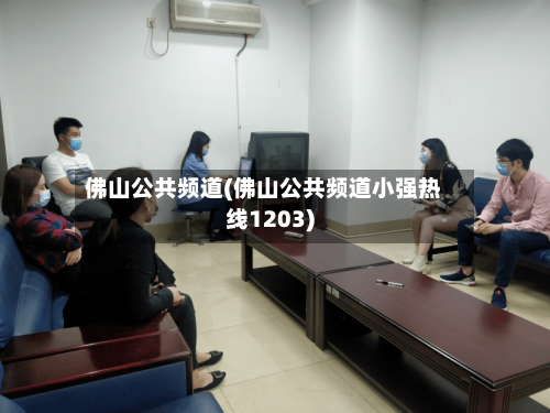 佛山公共频道(佛山公共频道小强热线1203)