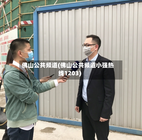 佛山公共频道(佛山公共频道小强热线1203)-第3张图片