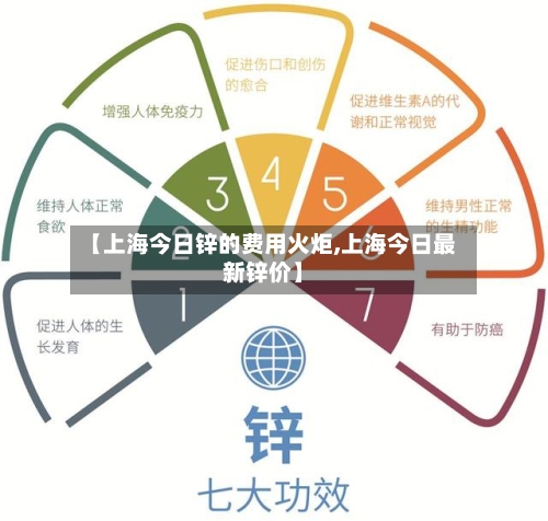 【上海今日锌的费用火炬,上海今日最新锌价】