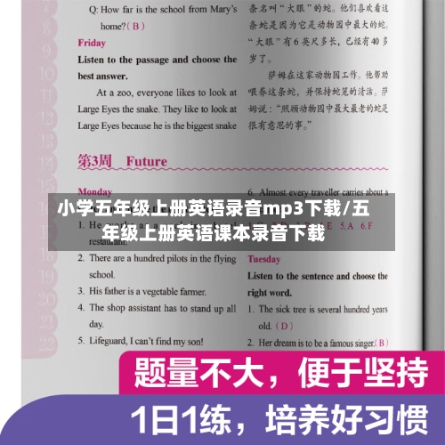 小学五年级上册英语录音mp3下载/五年级上册英语课本录音下载-第2张图片